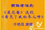 莲花庵-看见了我的冬儿呀下载