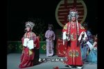 洞房惊奇