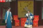 双槐树 (一)
