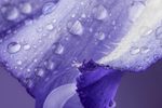 黛玉悲秋 02下载