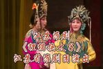 狸猫换太子