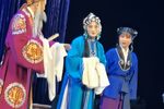 天要落雨娘要嫁·痛别离
