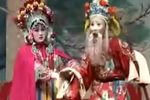 三请樊犁花 9集