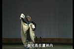 躍鯉記·蘆林下载