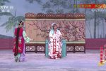 牡丹亭·游园 像音像版