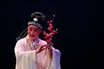 西园记 全本下载