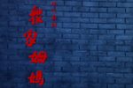 新·众家姆妈下载