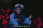 桃花岭 04年央视播出下载
