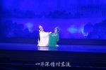 白蛇传断桥 字幕版