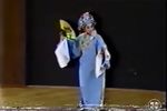 回十八 1989年  赴美讲演实录