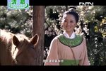 一钱太守 故事片