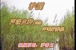 芦荡火种～芦苇疗养院