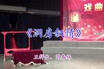 龙凤花烛—洞房叙情