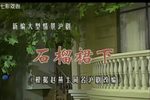 石榴裙下 高清