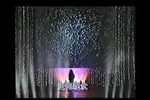 马莉莉演出专场 1991年