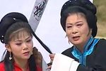 庐剧窦娥冤下载