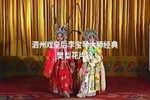 樊梨花诉堂 蚌埠电视台1998年录制