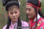 庐剧红楼梦下载