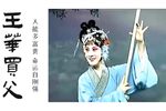 王华买父