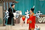 孝子告母