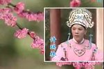 苦孩子认父 电视版下载