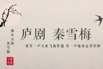 秦雪梅