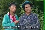 鸳鸯泪 电视版下载