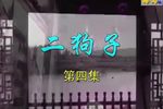 庐剧二狗子闹新年 4  现代戏