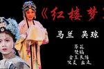 红楼梦 视频字幕版