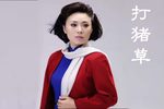 打猪草 全折下载