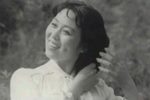 夫妻观灯下载