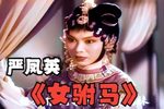 女驸马