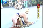 窦娥冤下载
