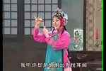 双玉蝉