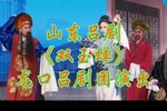 双玉蝉