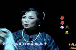 乱世鲁商下载