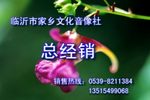 沂蒙小调 望情郎 全集下载