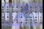 大八美 1  标清