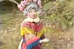 琴书三请樊梨花 第八集