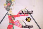 苦 大金牌选段