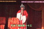 女中魁 观花下载 女中魁 观花下载