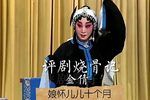 烧骨记