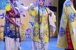 打金枝 劝万岁
