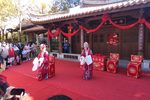 花为媒 园林版 沉浸式 上