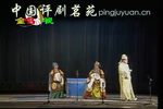 回杯记 （一）下载