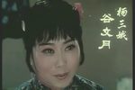 杨三姐告状 新影1980