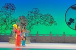 花为媒 花园相亲•报花名
