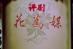 花为媒 全剧