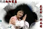 向阳商店 选段