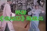 花为媒 选段二